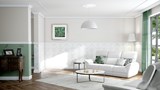 3027625_10_image