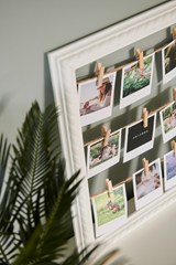 3048914_4_image